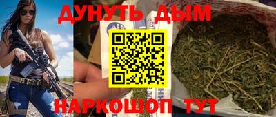 сатива Будённовск
